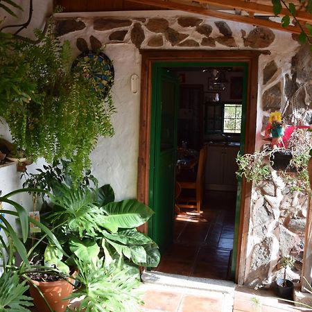 La Casa De Los Pinos Temisas Zewnętrze zdjęcie